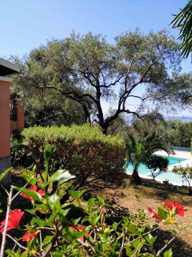 Villa Stefanos Apartments By Hotelius Glyfa エクステリア 写真